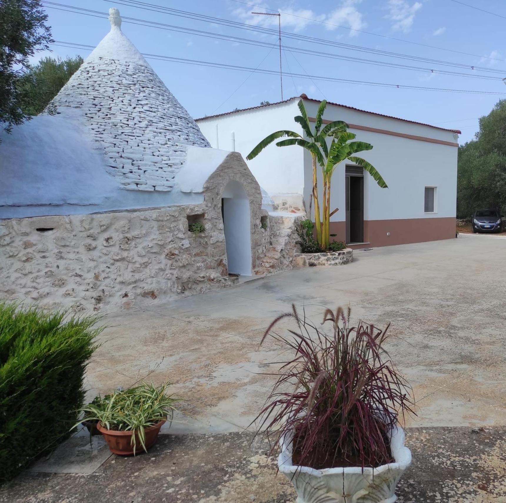 הוילה צ'לייה מספיקה Il Trullo Di Nonno Mingo מראה חיצוני תמונה