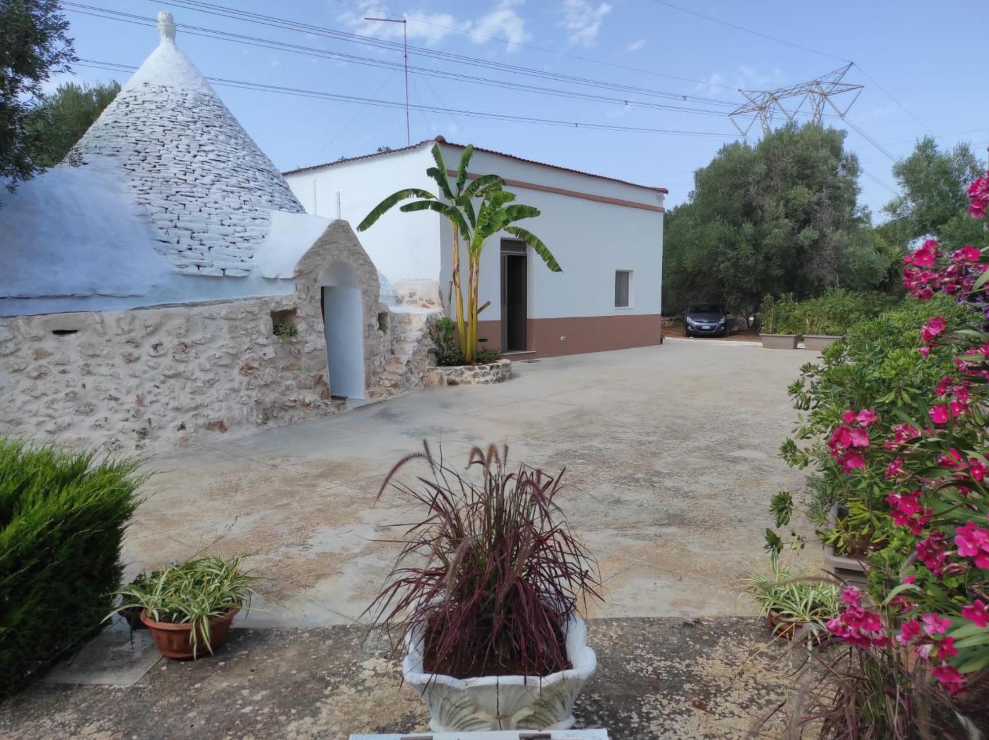 הוילה צ'לייה מספיקה Il Trullo Di Nonno Mingo מראה חיצוני תמונה
