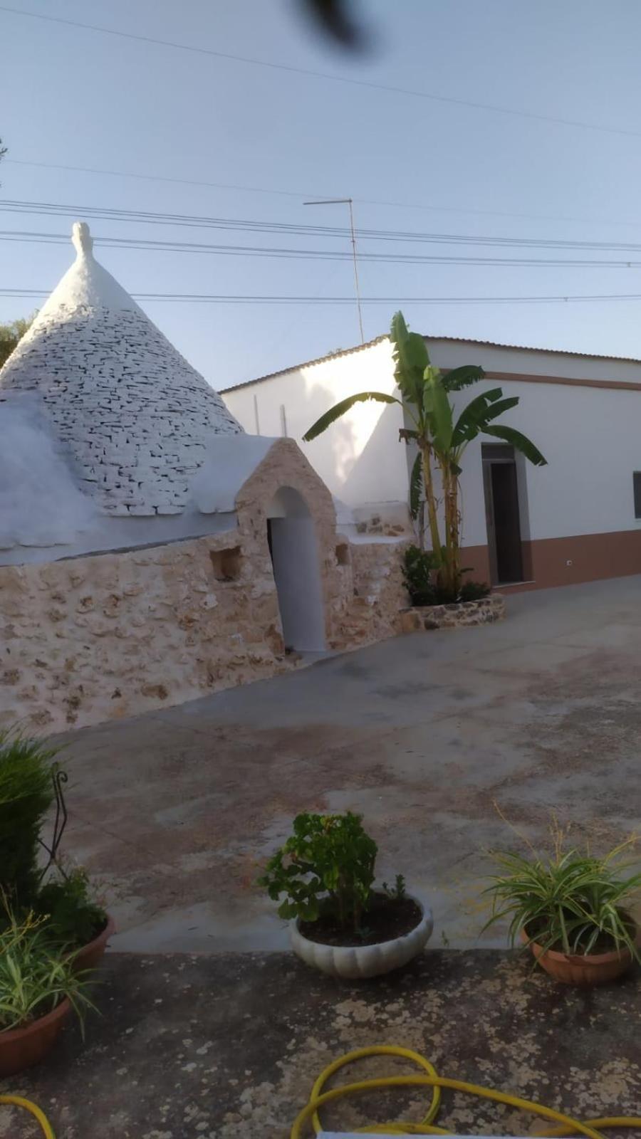 הוילה צ'לייה מספיקה Il Trullo Di Nonno Mingo מראה חיצוני תמונה