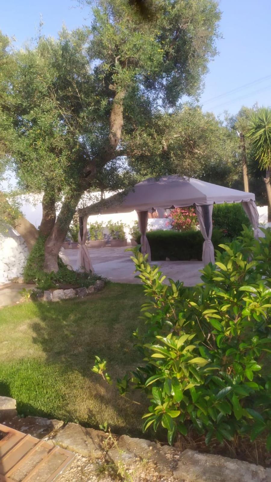 הוילה צ'לייה מספיקה Il Trullo Di Nonno Mingo מראה חיצוני תמונה